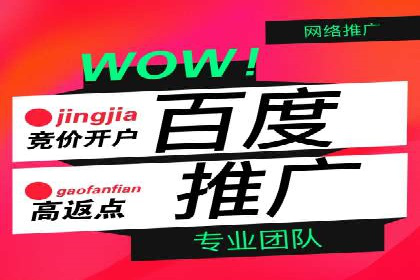 百度信息流广告助力品牌成长的经典案例